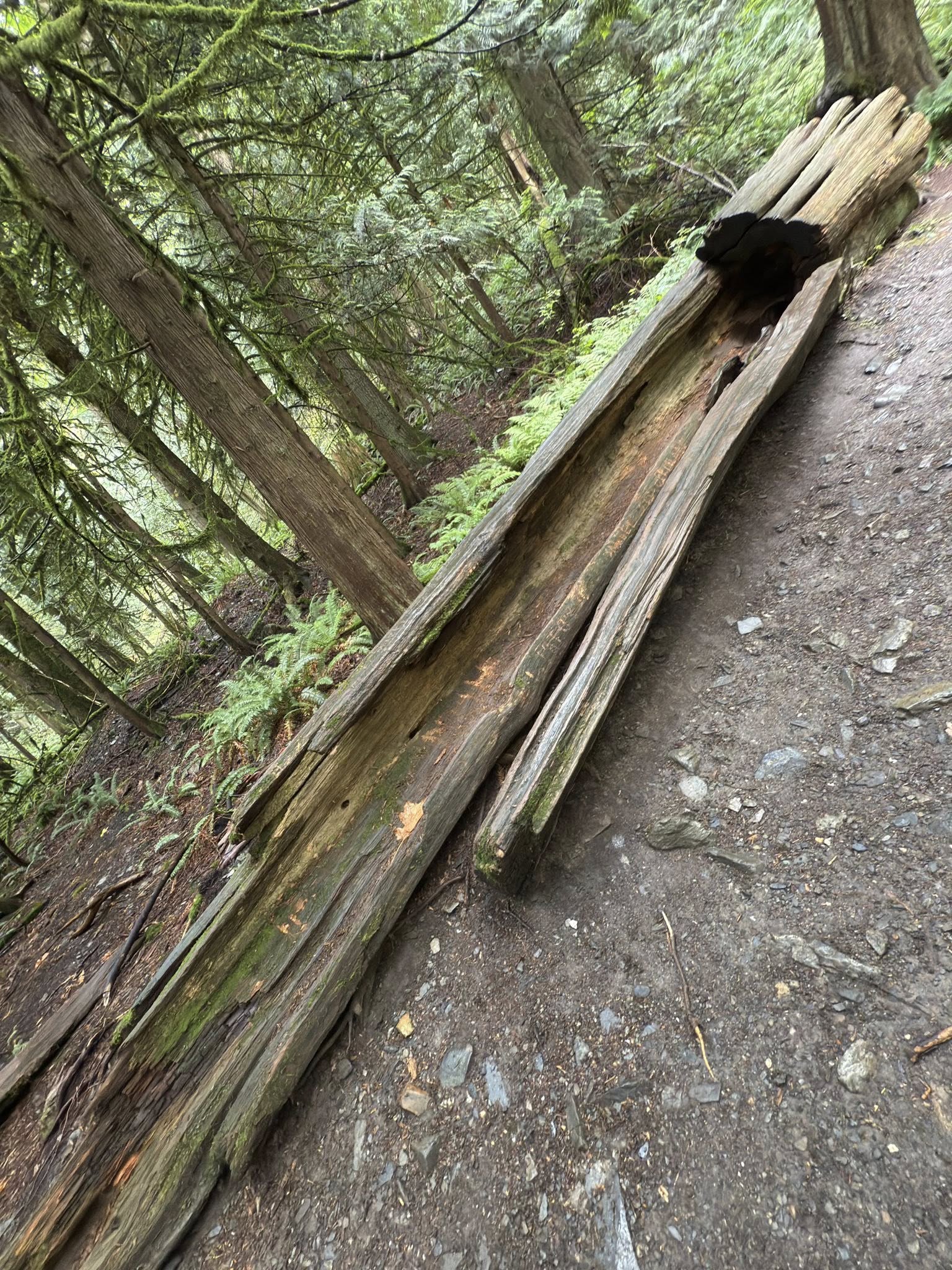 529872680_122225075762133510_501123176856849560_n 529872680_122225075762133510_501123176856849560_n