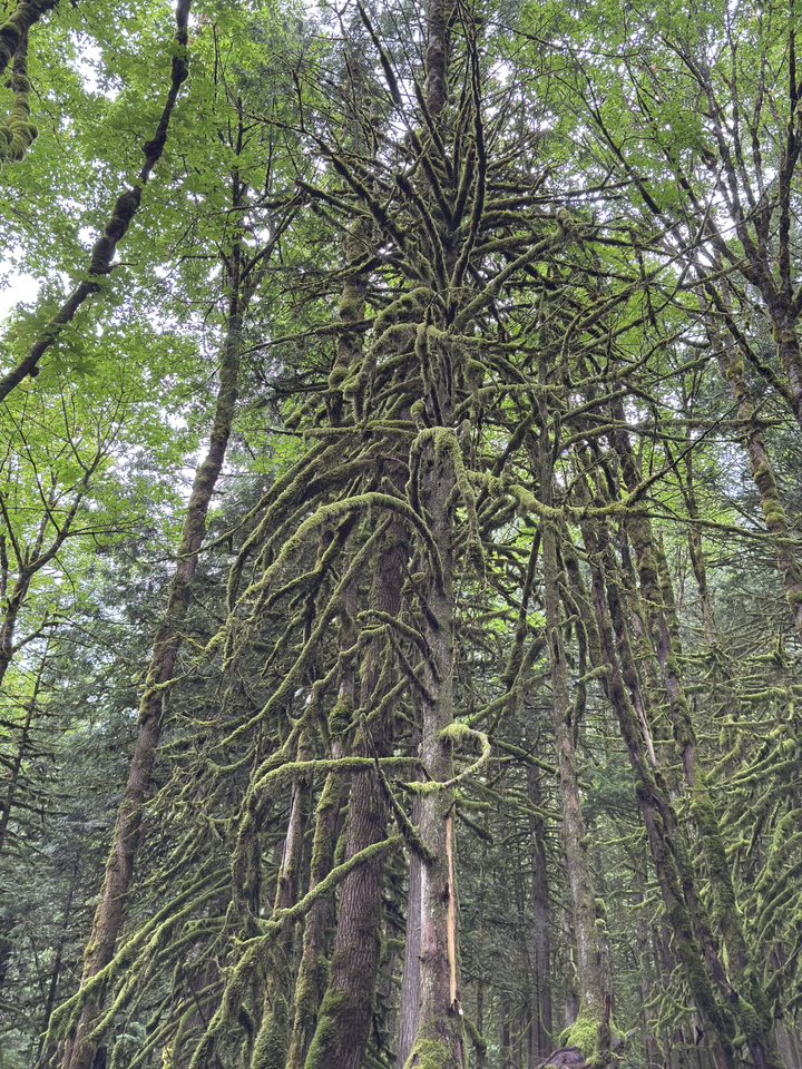 529896879_122225187710133510_6067281058556066638_n 529896879_122225187710133510_6067281058556066638_n