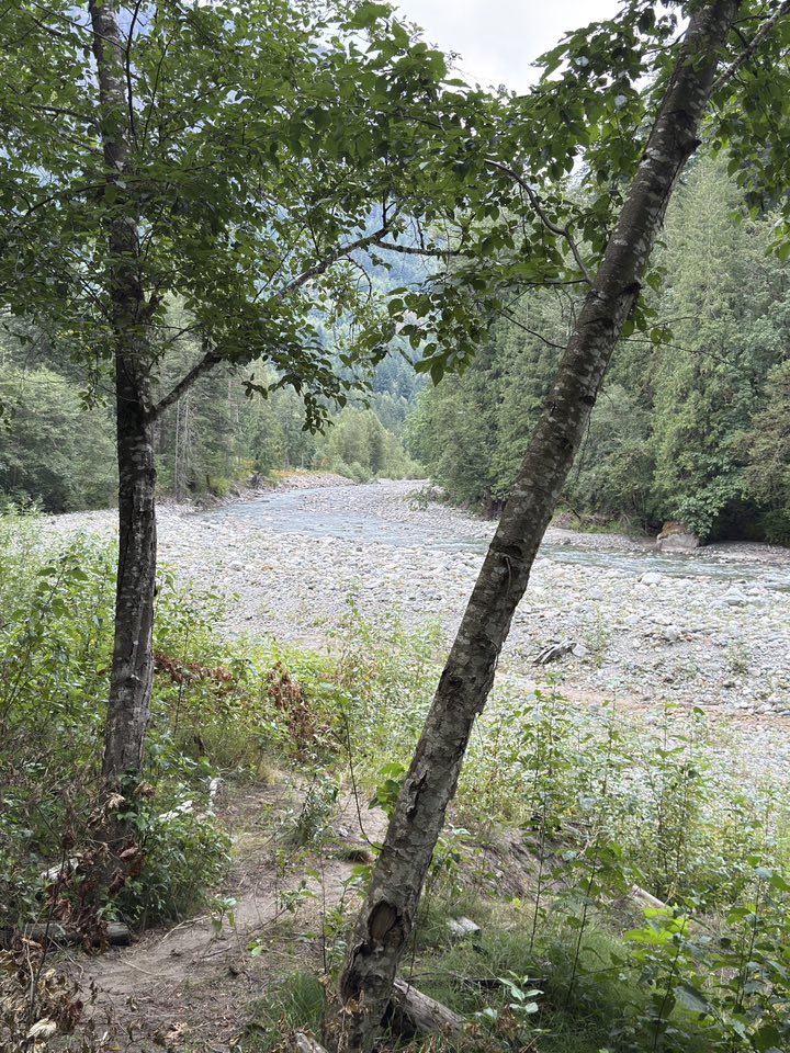 529912782_122225187674133510_7467111456723132201_n 529912782_122225187674133510_7467111456723132201_n