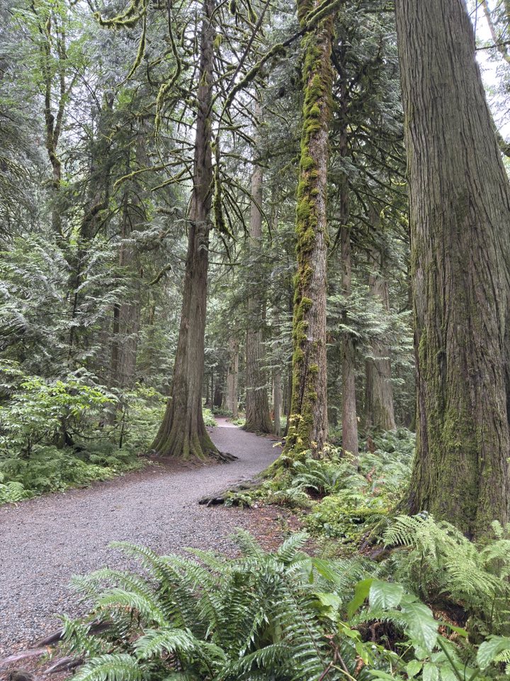 529921079_122225072168133510_6307587881380707023_n 529921079_122225072168133510_6307587881380707023_n