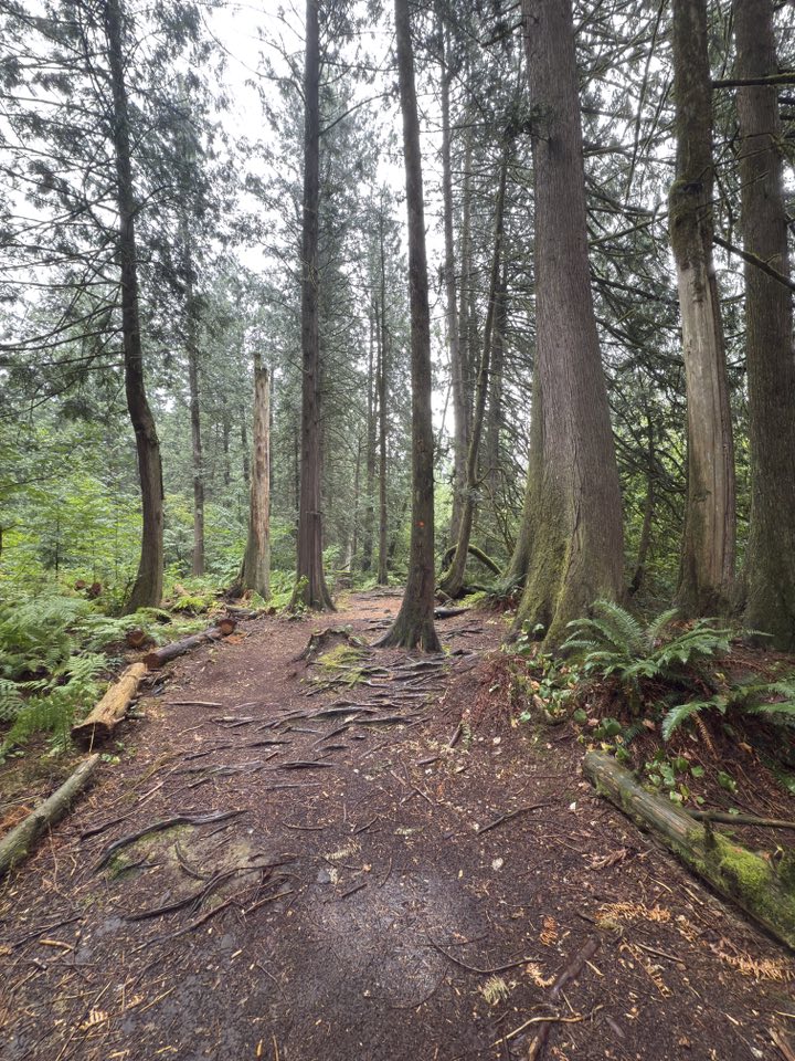 529947530_122225072456133510_8482162824101049499_n 529947530_122225072456133510_8482162824101049499_n