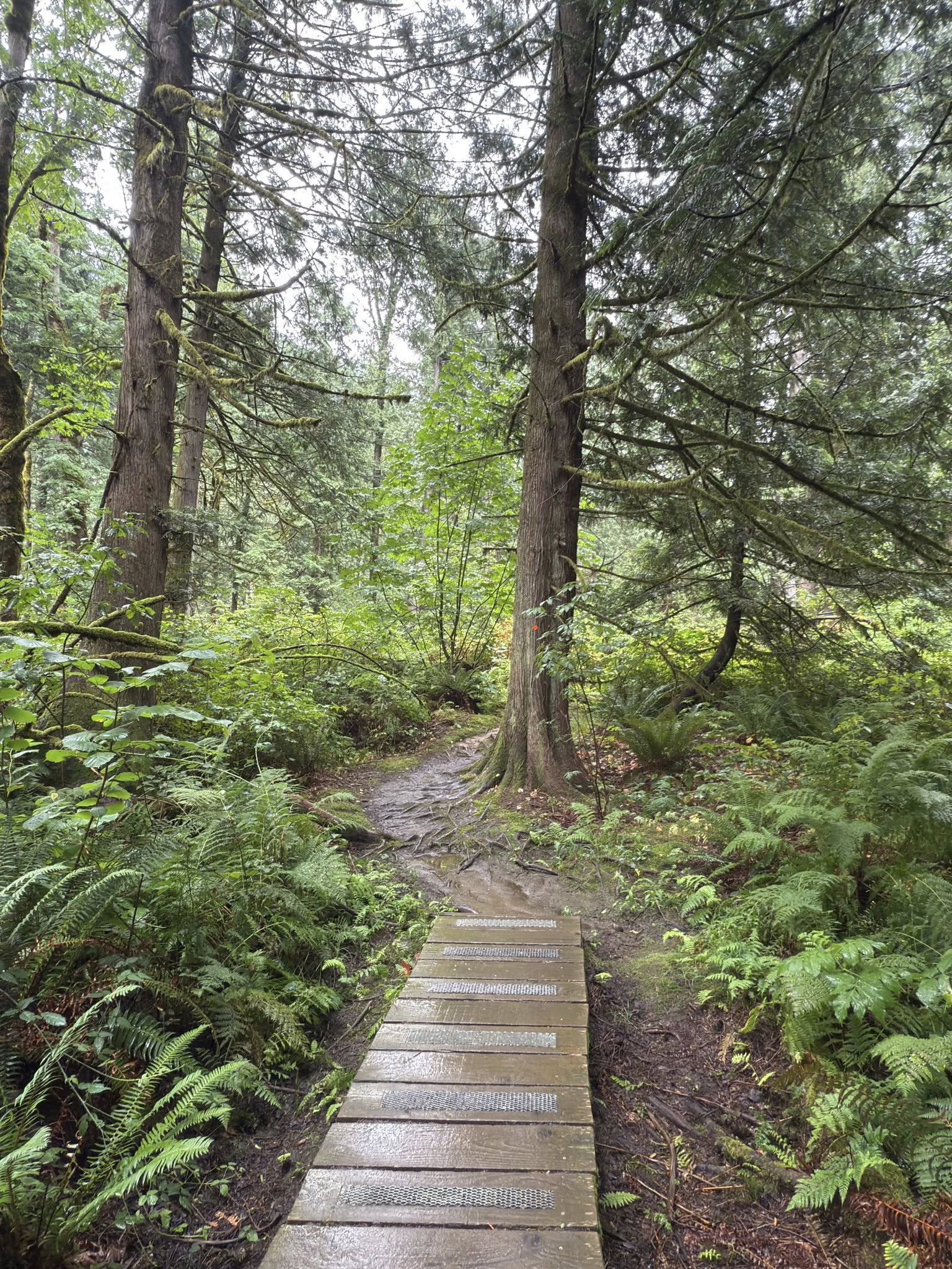 529979293_122225075774133510_1670406958550329193_n 529979293_122225075774133510_1670406958550329193_n