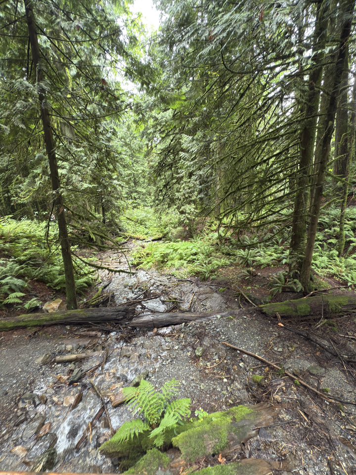 530133734_122225071034133510_120372380797758282_n 530133734_122225071034133510_120372380797758282_n