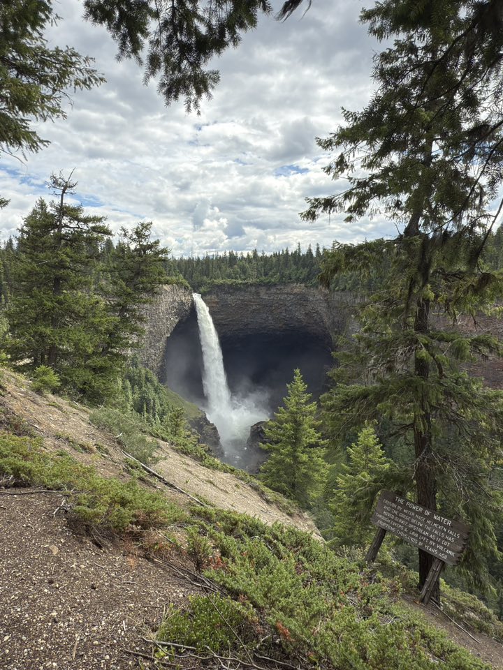 530183146_122225295068133510_2847546642868372192_n 530183146_122225295068133510_2847546642868372192_n