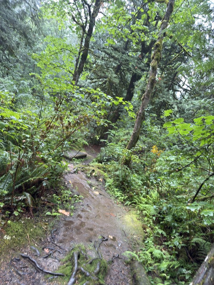 530203252_122225071826133510_2490162575728691822_n 530203252_122225071826133510_2490162575728691822_n