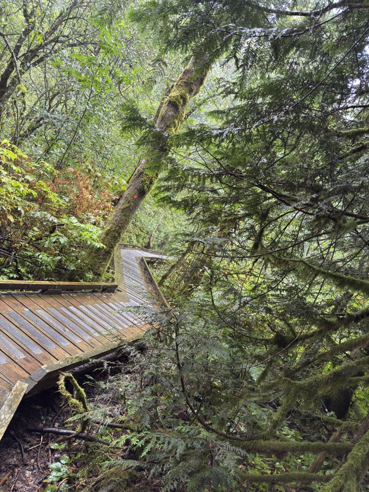 530207356_122225071472133510_7268754199018761791_n 530207356_122225071472133510_7268754199018761791_n