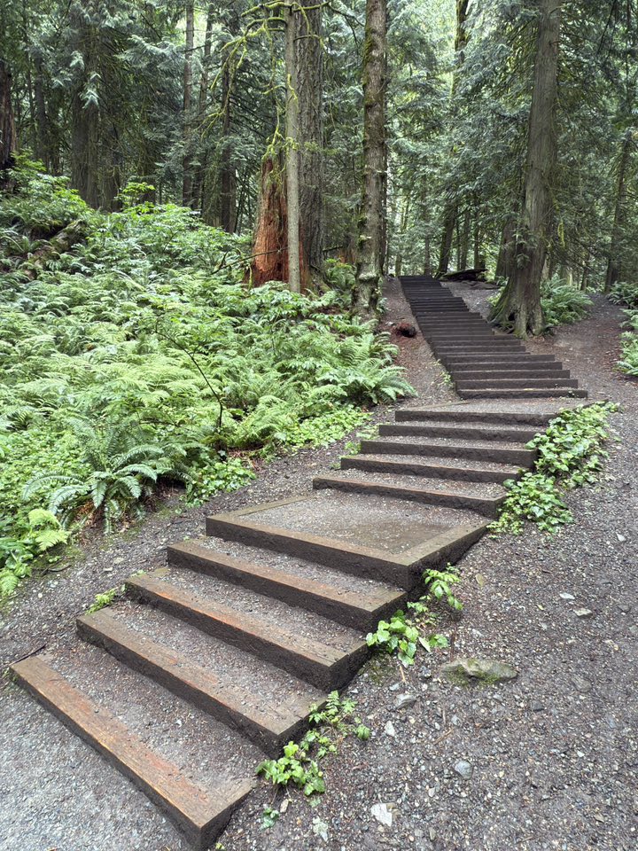 530207421_122225071910133510_5325222242625646235_n 530207421_122225071910133510_5325222242625646235_n