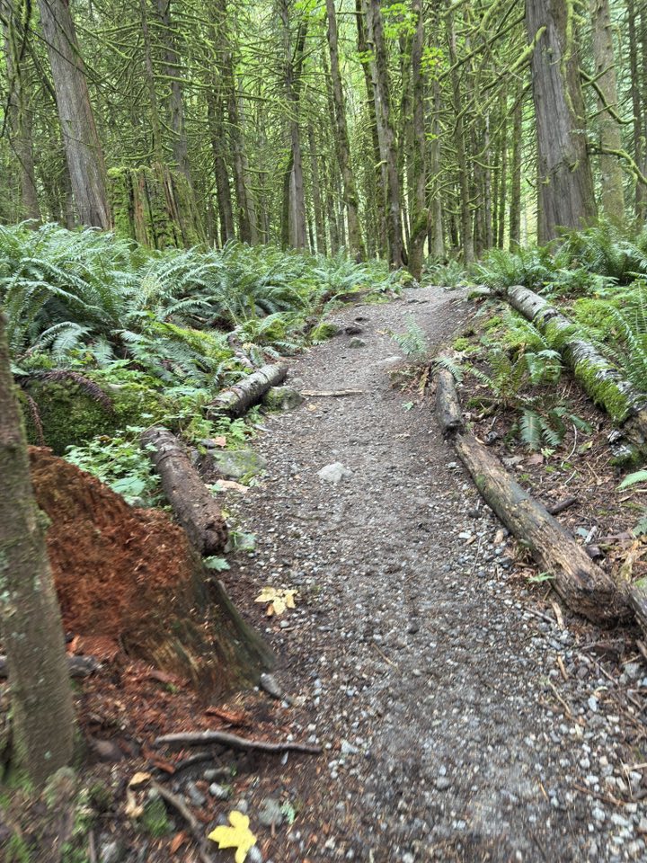 530217660_122225187524133510_8144009479449368298_n 530217660_122225187524133510_8144009479449368298_n