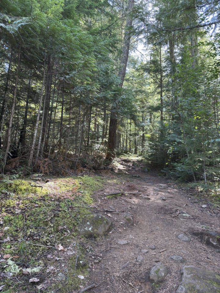 530226491_122225295854133510_7697701935538345041_n 530226491_122225295854133510_7697701935538345041_n