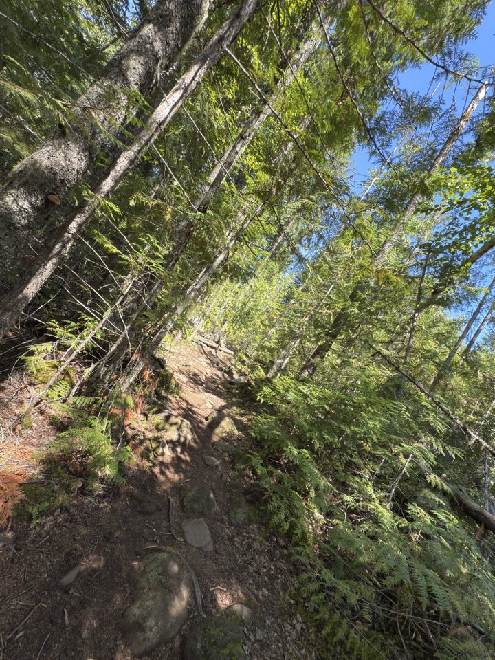 530232470_122225295380133510_7916852681929308184_n 530232470_122225295380133510_7916852681929308184_n