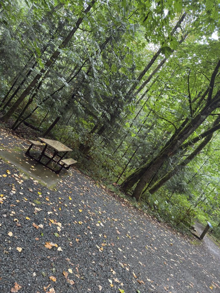 530234953_122225072450133510_3918345256268812904_n 530234953_122225072450133510_3918345256268812904_n