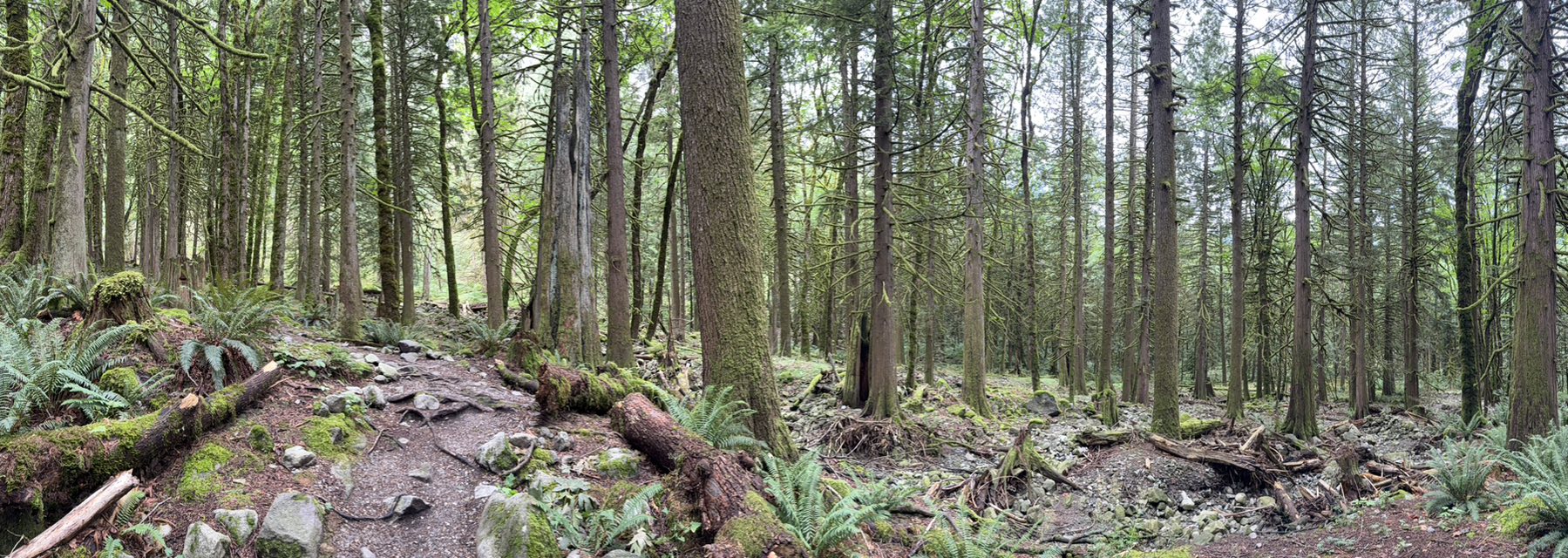 530237400_122225189300133510_6159191312769089257_n 530237400_122225189300133510_6159191312769089257_n