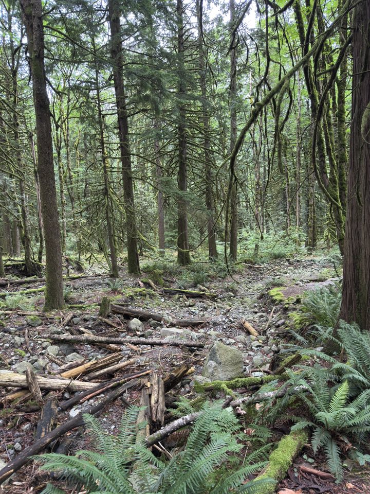 530246089_122225188286133510_5374269228916430588_n 530246089_122225188286133510_5374269228916430588_n