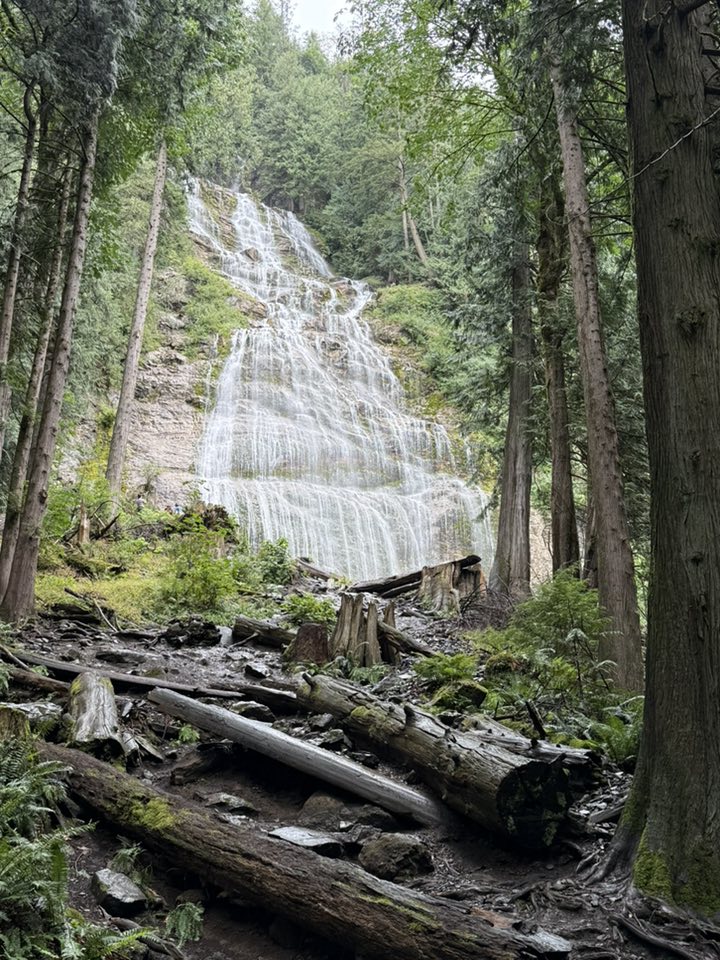 530262227_122225071382133510_2945095963326508421_n 530262227_122225071382133510_2945095963326508421_n