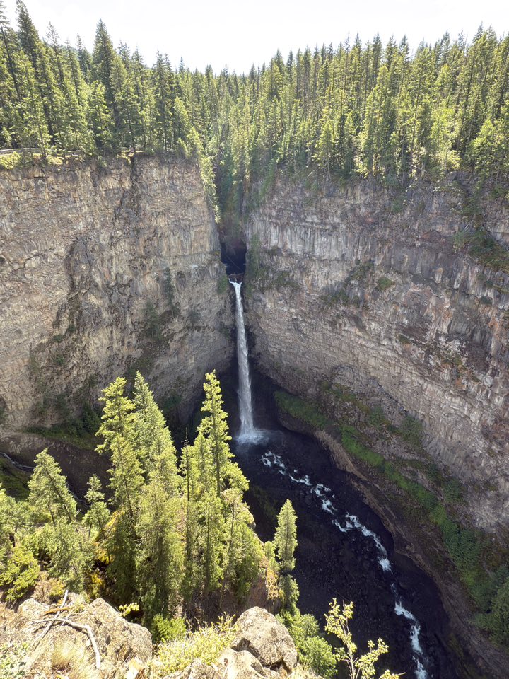 530277908_122225296952133510_4377659346707808051_n 530277908_122225296952133510_4377659346707808051_n