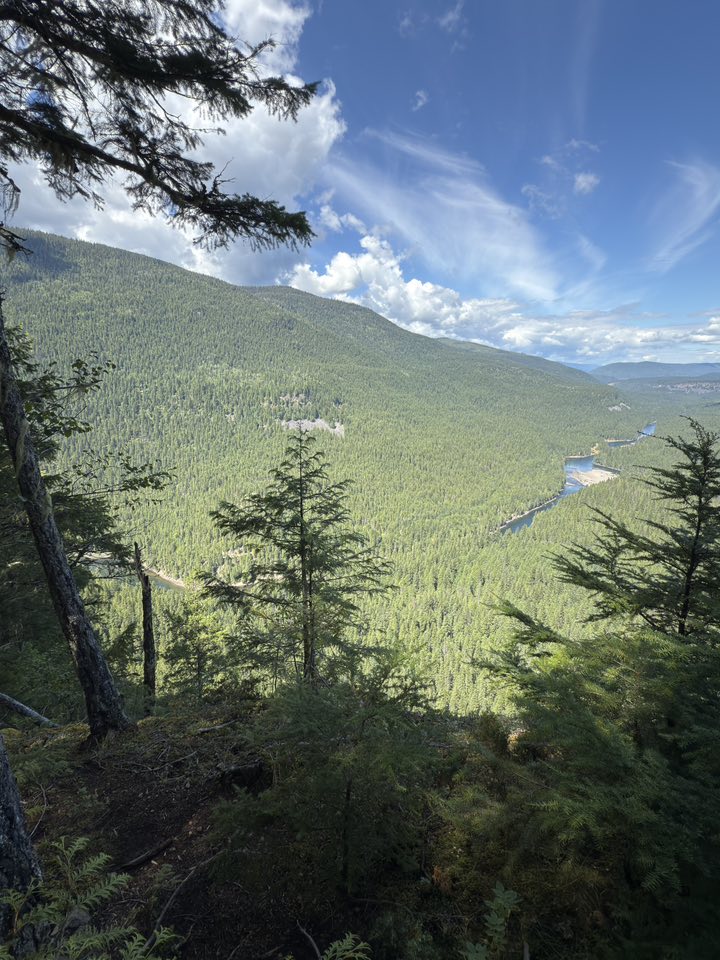 530315109_122225295938133510_1915540693018908934_n 530315109_122225295938133510_1915540693018908934_n