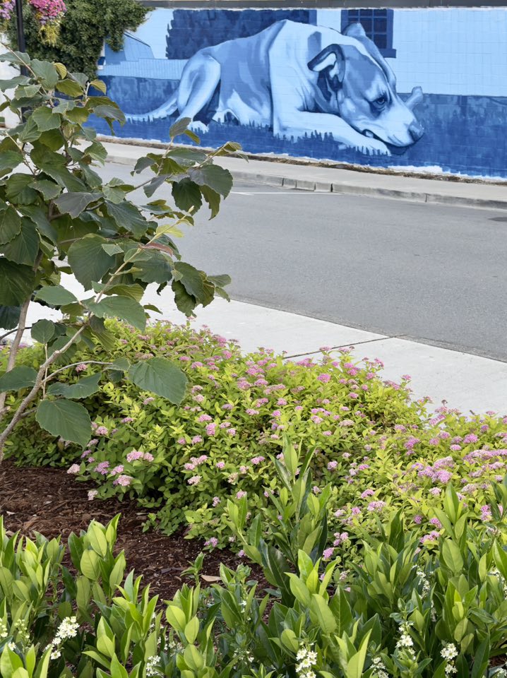 530326440_122225188628133510_6276218843914764746_n 530326440_122225188628133510_6276218843914764746_n