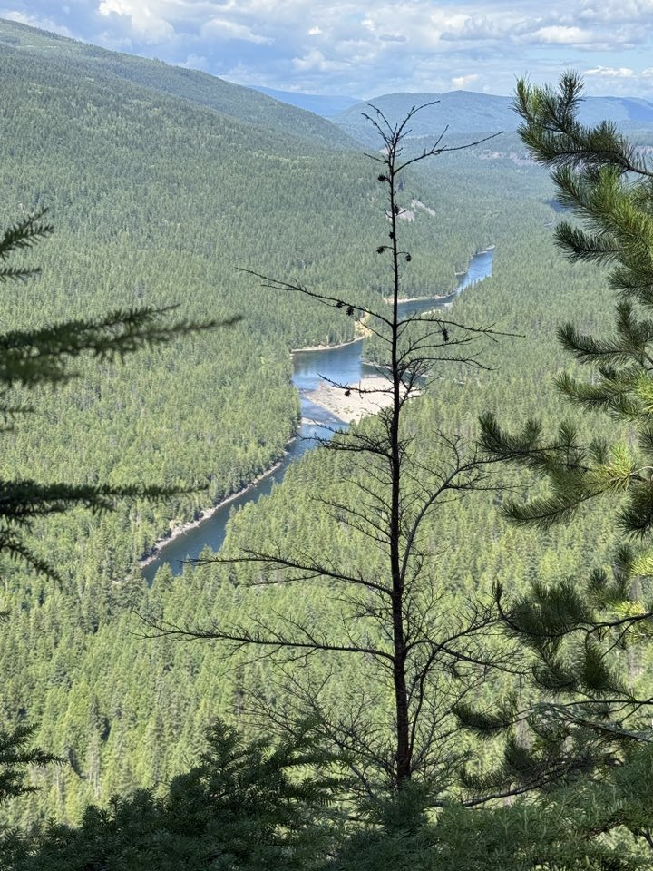 530337298_122225294672133510_3482573010000072112_n 530337298_122225294672133510_3482573010000072112_n