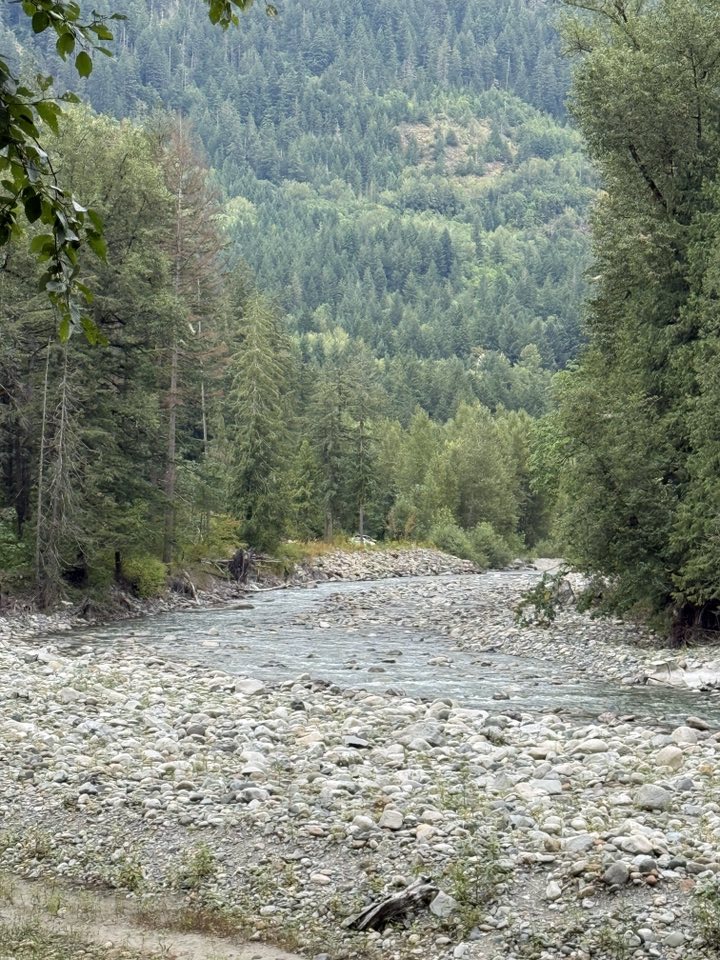 530358122_122225190200133510_2884175385335573341_n 530358122_122225190200133510_2884175385335573341_n