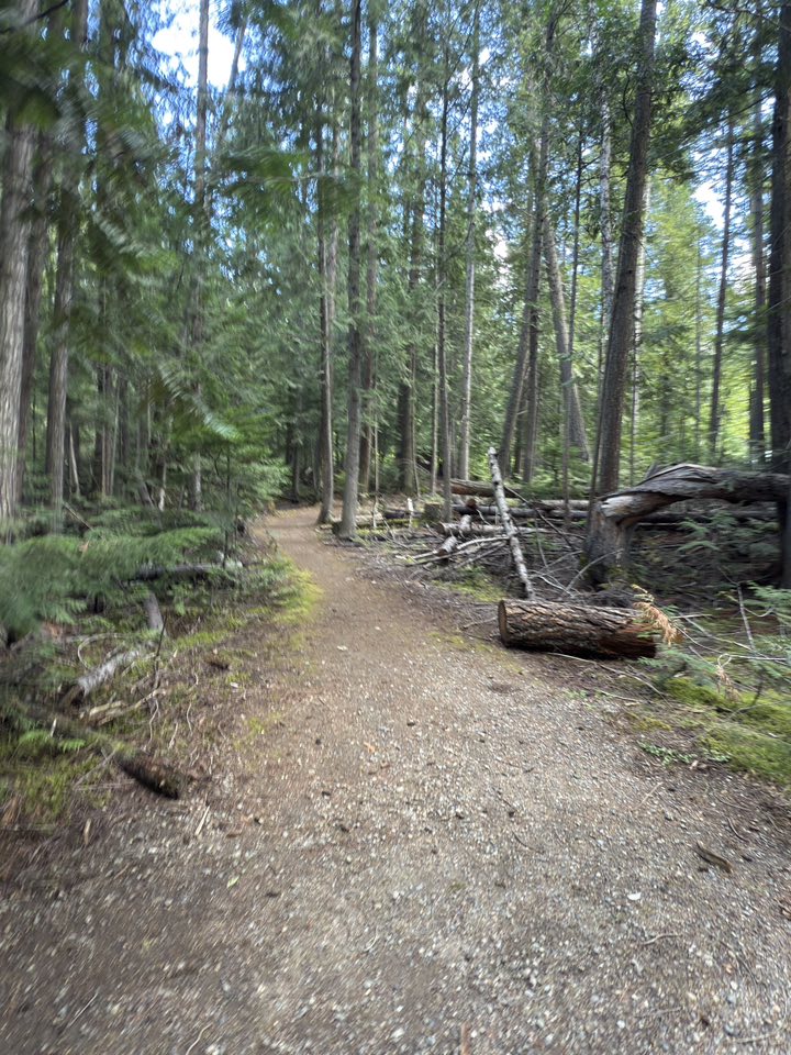 530415875_122225295254133510_4874159182459516285_n 530415875_122225295254133510_4874159182459516285_n