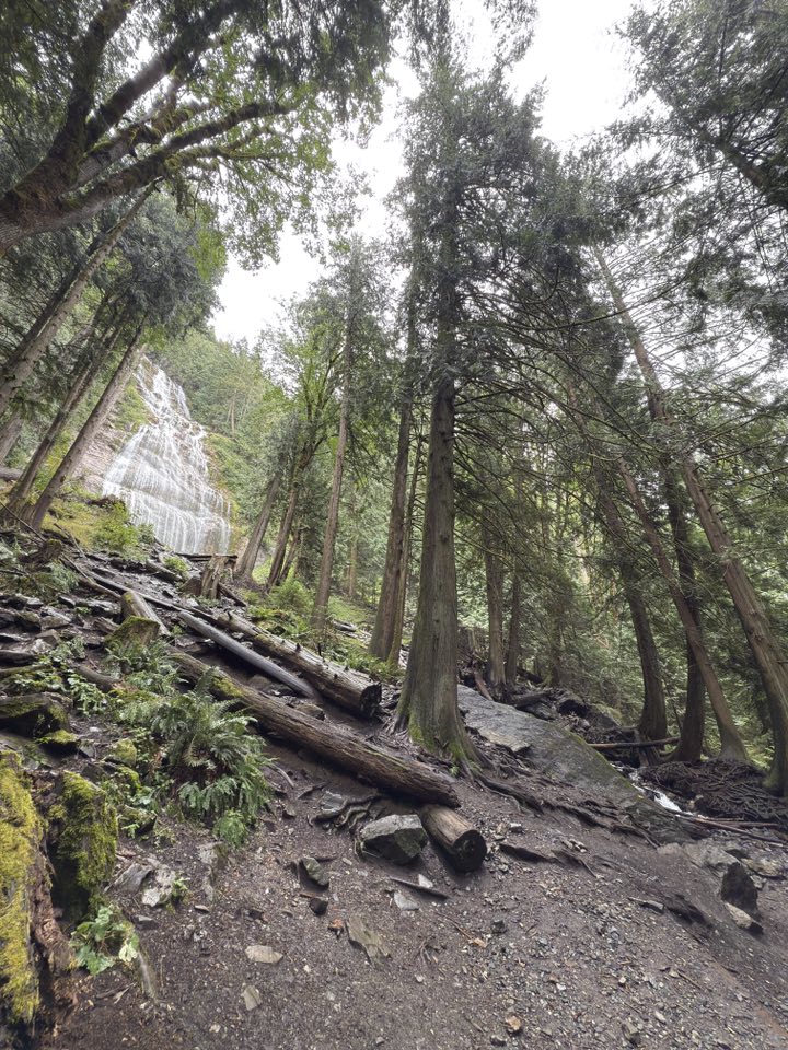 530439108_122225070926133510_717417158326123051_n 530439108_122225070926133510_717417158326123051_n