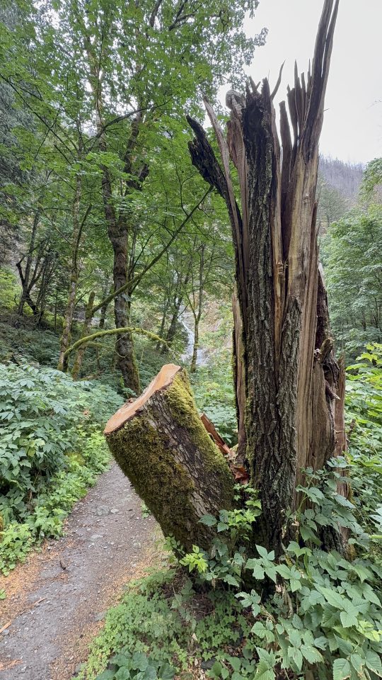 530453257_122225189432133510_1500139833203794626_n 530453257_122225189432133510_1500139833203794626_n