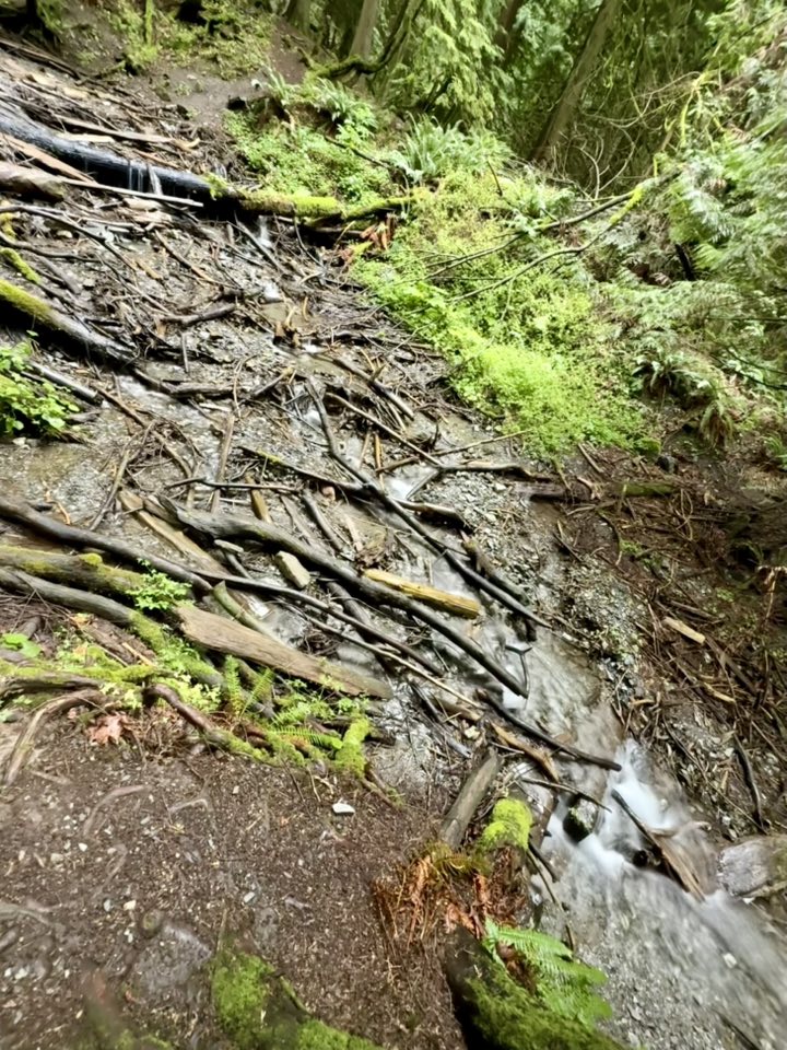 530499700_122225071334133510_2703602553719286918_n 530499700_122225071334133510_2703602553719286918_n