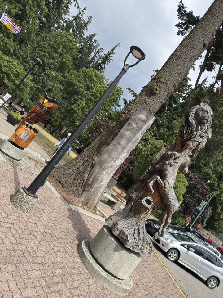 530560893_122225189684133510_3304626396949704382_n 530560893_122225189684133510_3304626396949704382_n