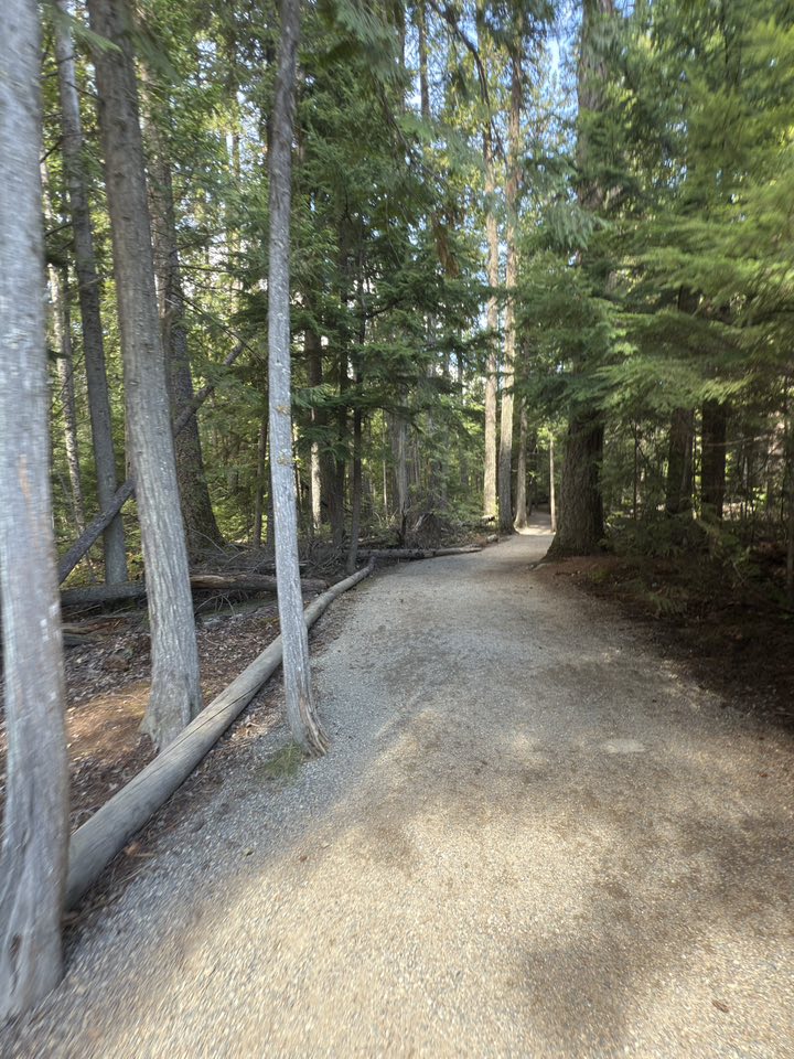 530585262_122225296118133510_4930013960935052080_n 530585262_122225296118133510_4930013960935052080_n