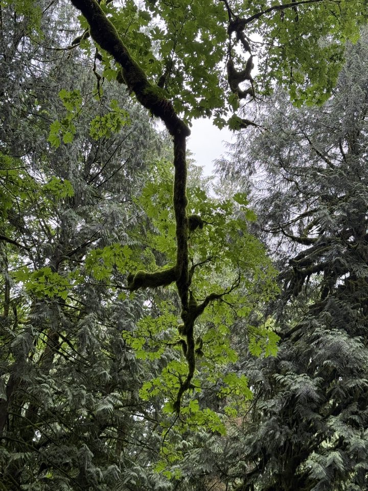 530636922_122225070890133510_3357409496279924229_n 530636922_122225070890133510_3357409496279924229_n