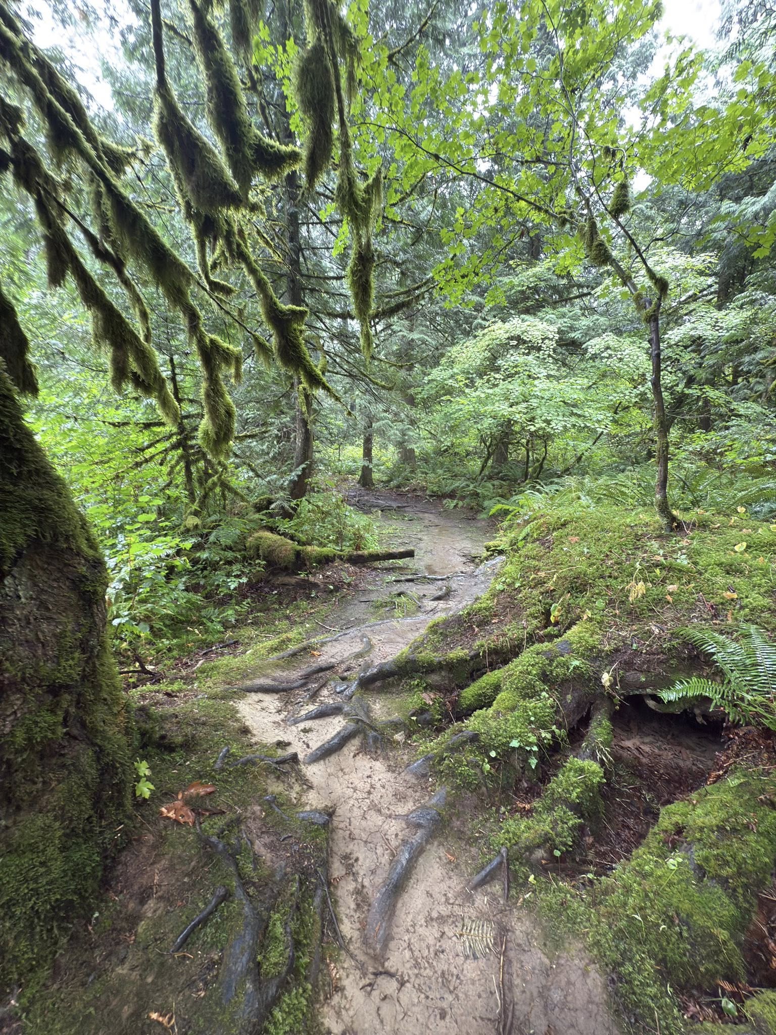 530652860_122225075822133510_565244061528148176_n 530652860_122225075822133510_565244061528148176_n