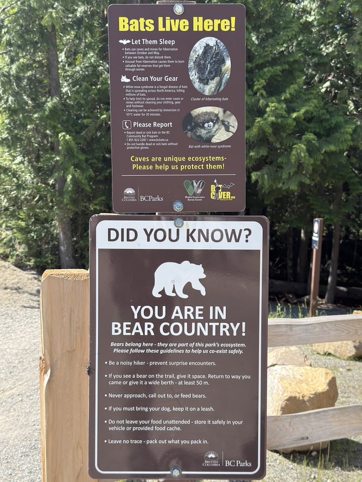 530694263_122225295212133510_1318645333273216432_n 530694263_122225295212133510_1318645333273216432_n