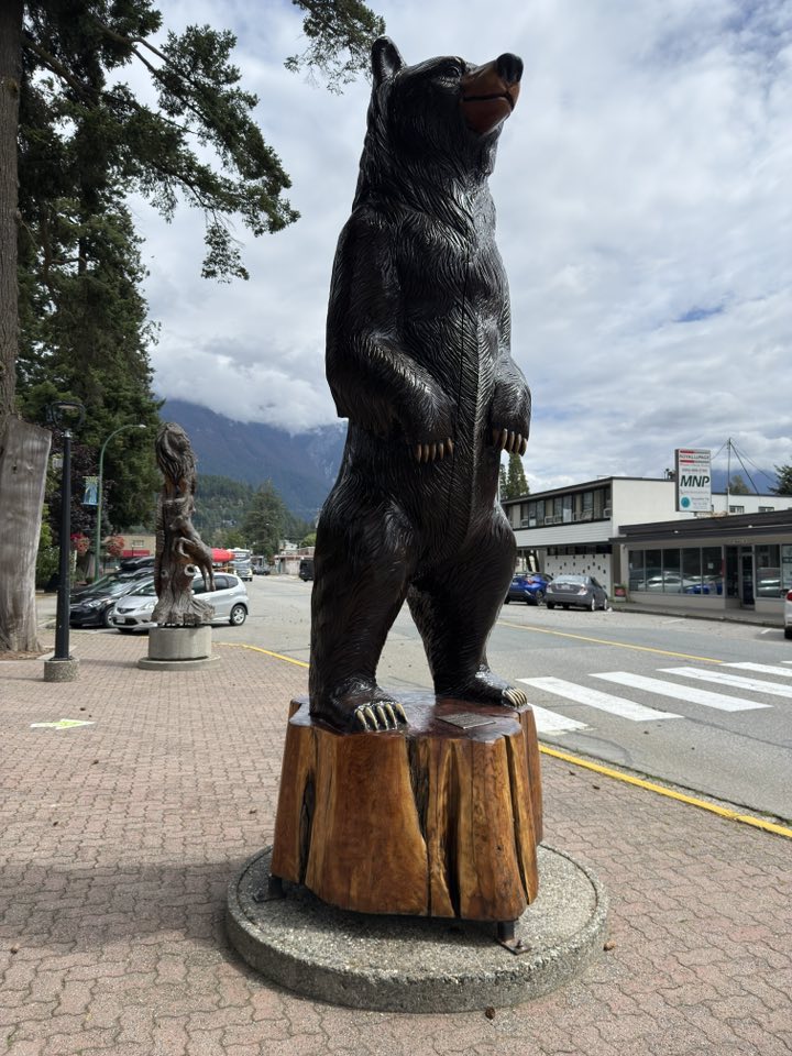 530719598_122225190236133510_4382932840986117844_n 530719598_122225190236133510_4382932840986117844_n