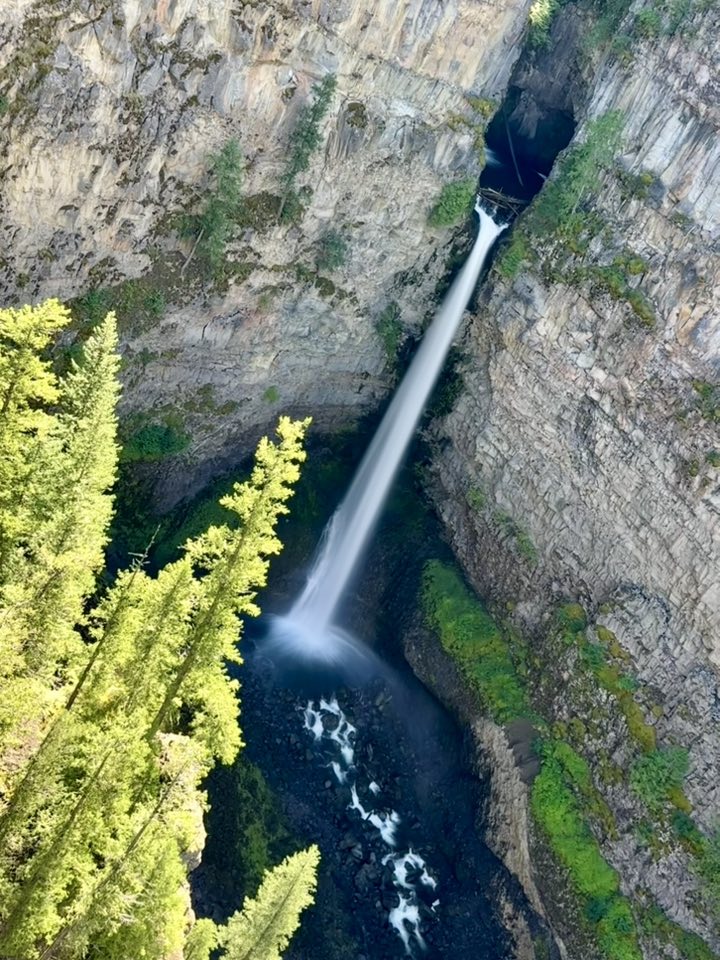 530756389_122225295488133510_5112076273665900528_n 530756389_122225295488133510_5112076273665900528_n