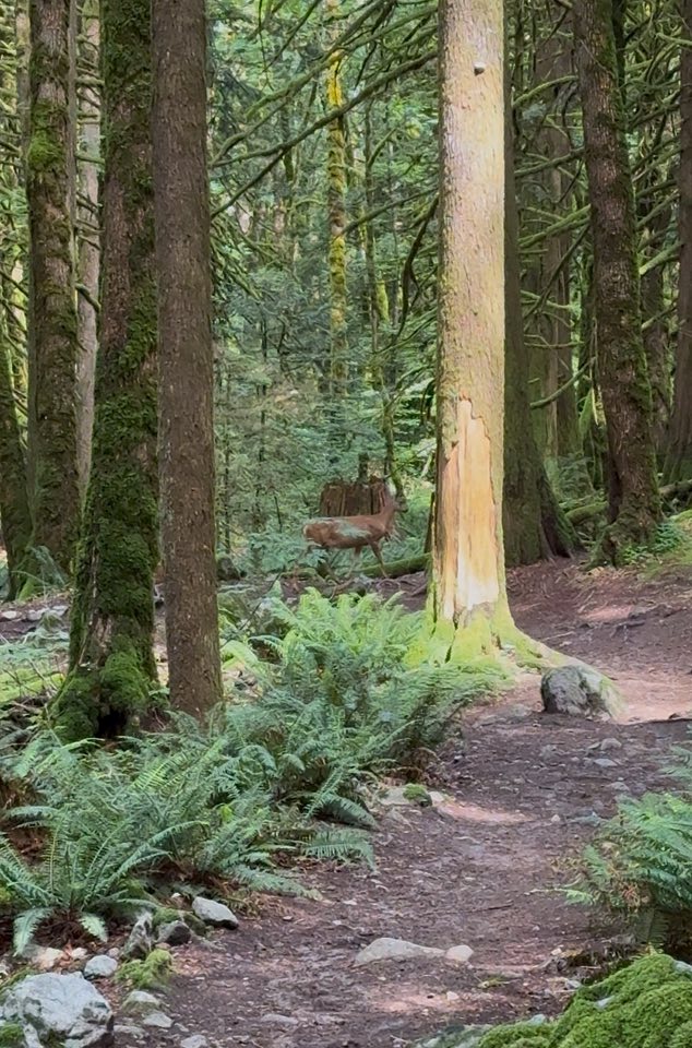 530853323_122225188460133510_1392833841112086900_n 530853323_122225188460133510_1392833841112086900_n