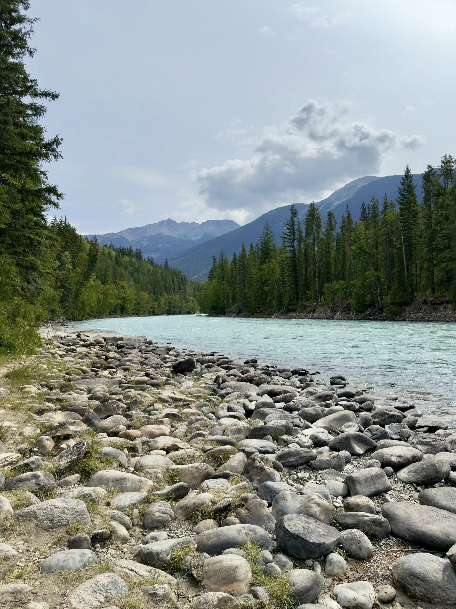 530872541_122225676830133510_6411634302803528038_n 530872541_122225676830133510_6411634302803528038_n