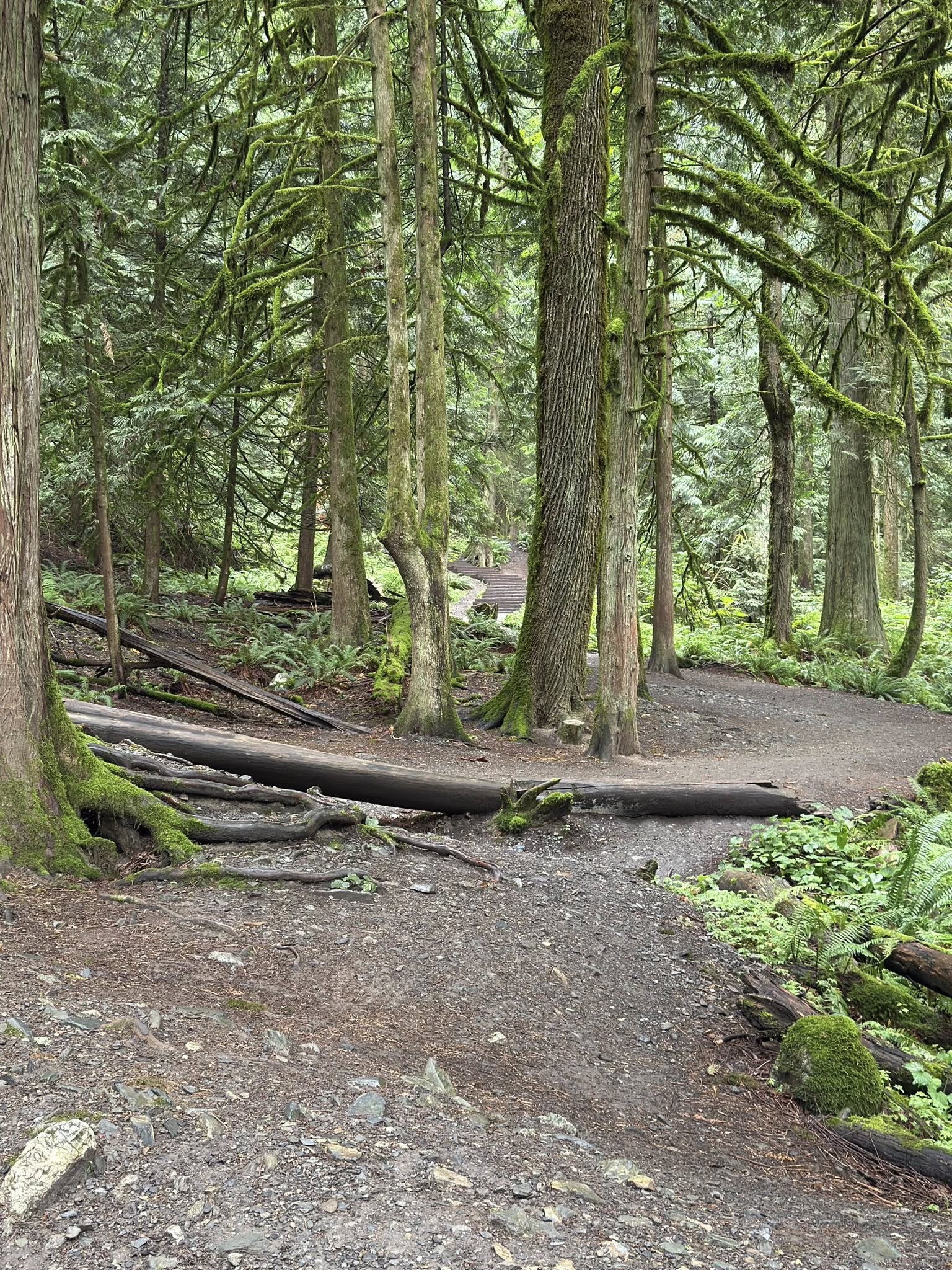 530881609_122225075798133510_335990643651178961_n 530881609_122225075798133510_335990643651178961_n