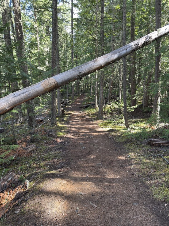 530896787_122225295572133510_4844914517608402616_n 530896787_122225295572133510_4844914517608402616_n