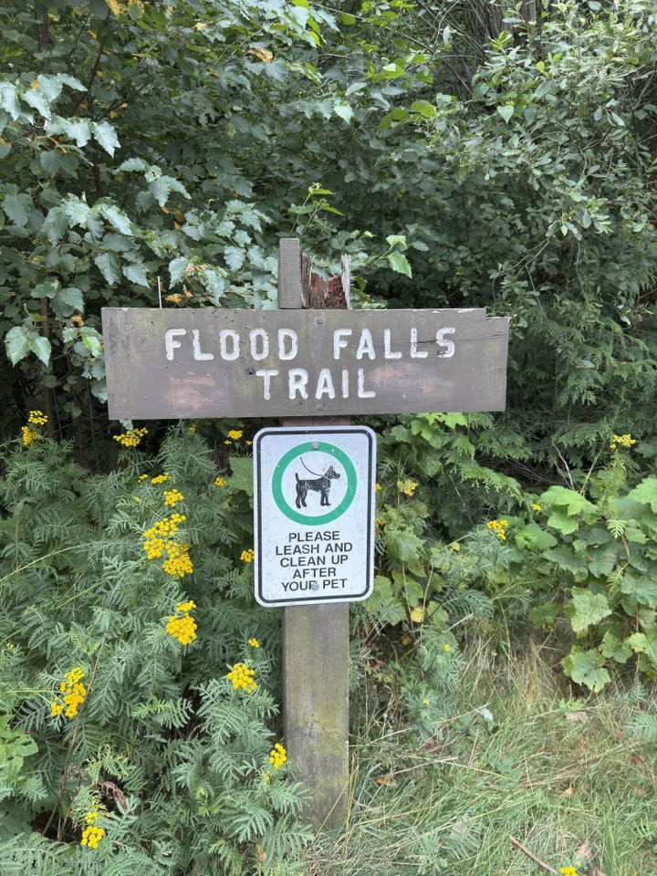 530972715_122225189474133510_9174392410828463520_n 530972715_122225189474133510_9174392410828463520_n