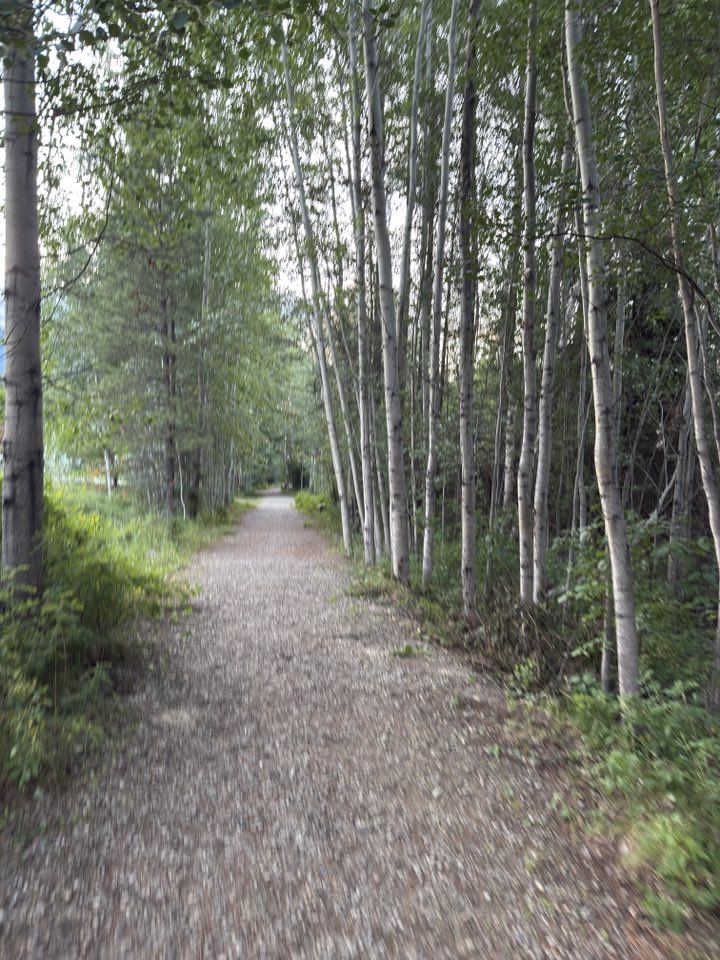 530981563_122225673050133510_4979468179688562975_n 530981563_122225673050133510_4979468179688562975_n