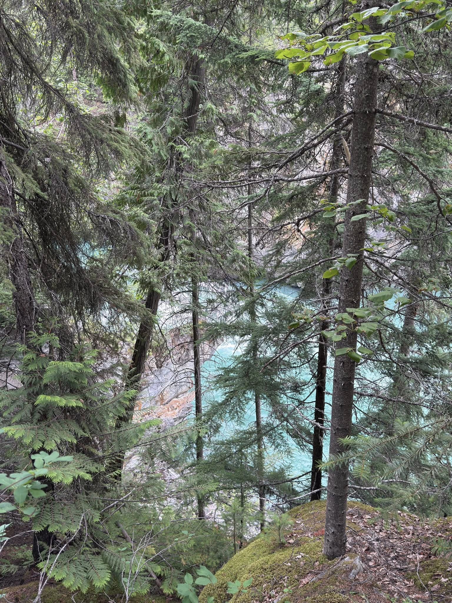 531005682_122225674136133510_3464240546890738236_n 531005682_122225674136133510_3464240546890738236_n