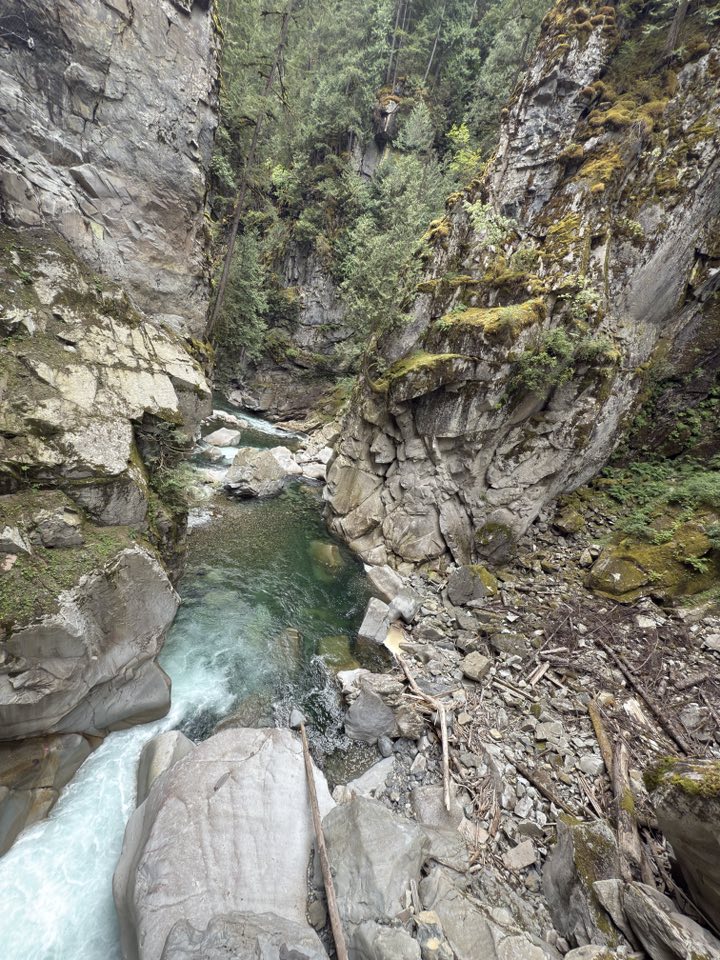 531163362_122225189048133510_9039790546203130521_n 531163362_122225189048133510_9039790546203130521_n