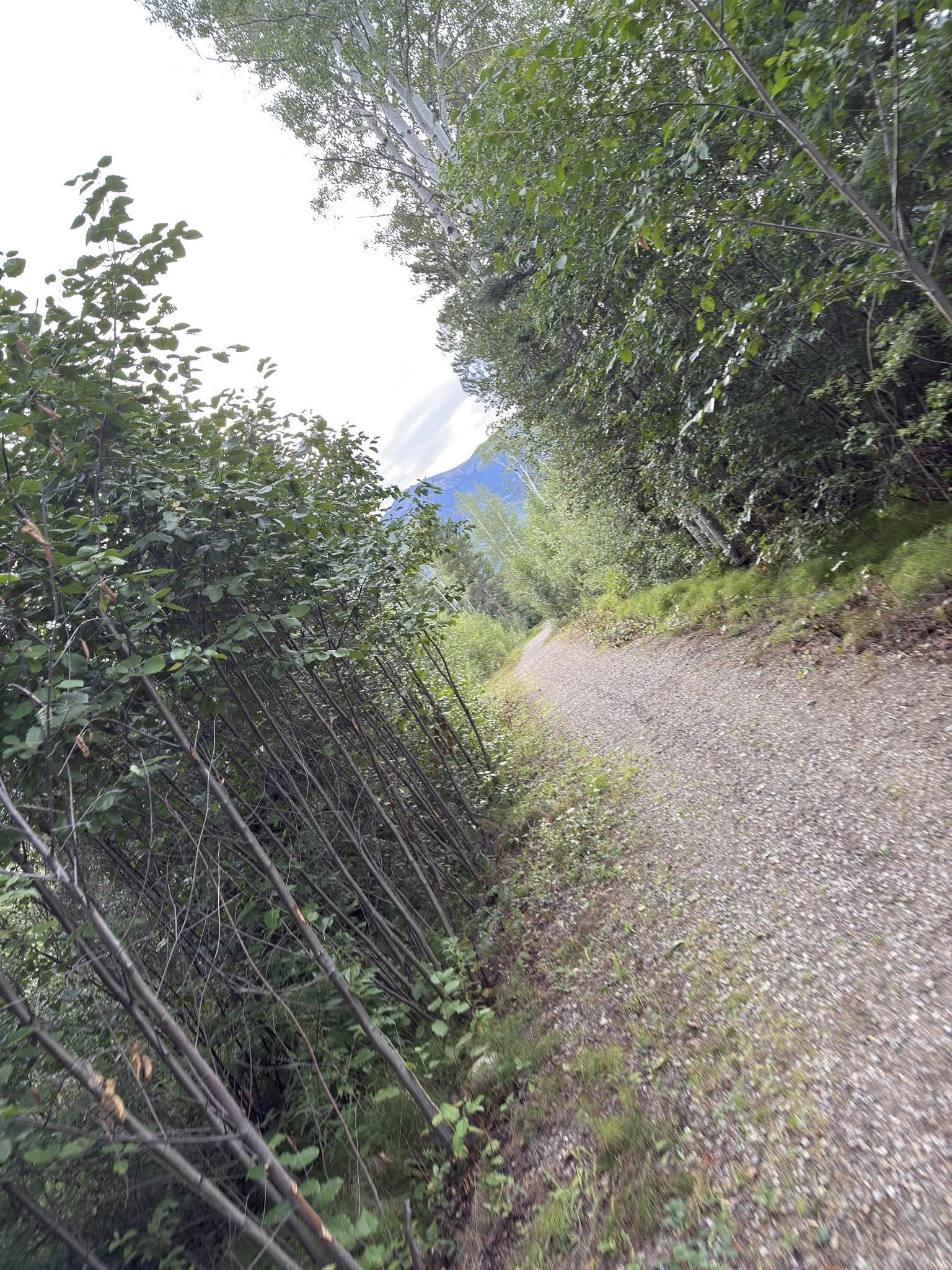 531223921_122225676548133510_7668768455792780579_n 531223921_122225676548133510_7668768455792780579_n