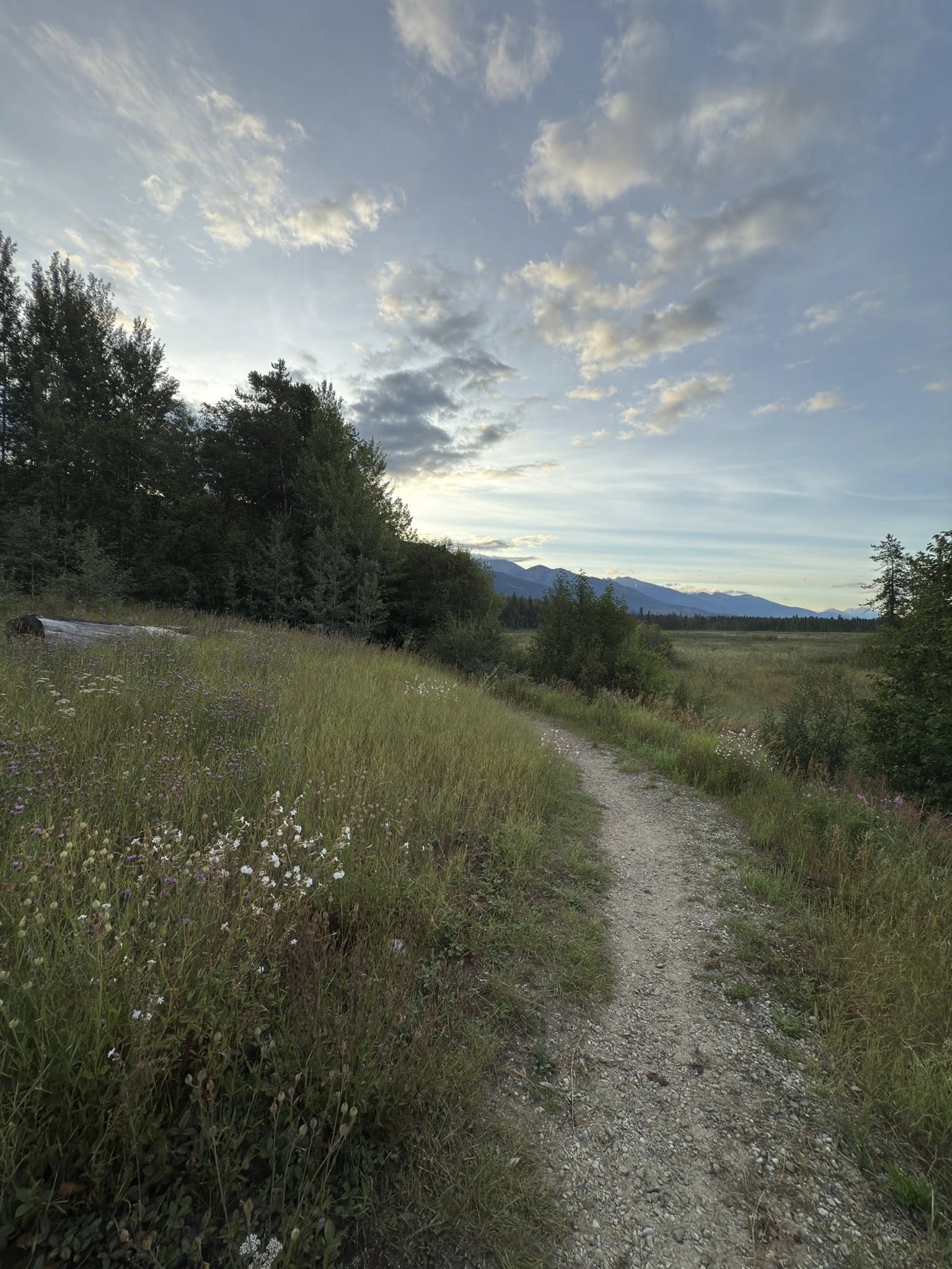 531345444_122225676794133510_2697891915370088649_n 531345444_122225676794133510_2697891915370088649_n