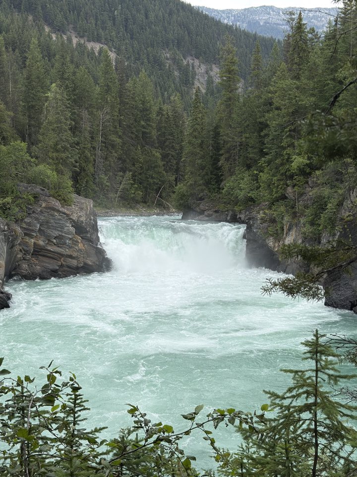 531426198_122225672480133510_8415837746918898077_n 531426198_122225672480133510_8415837746918898077_n