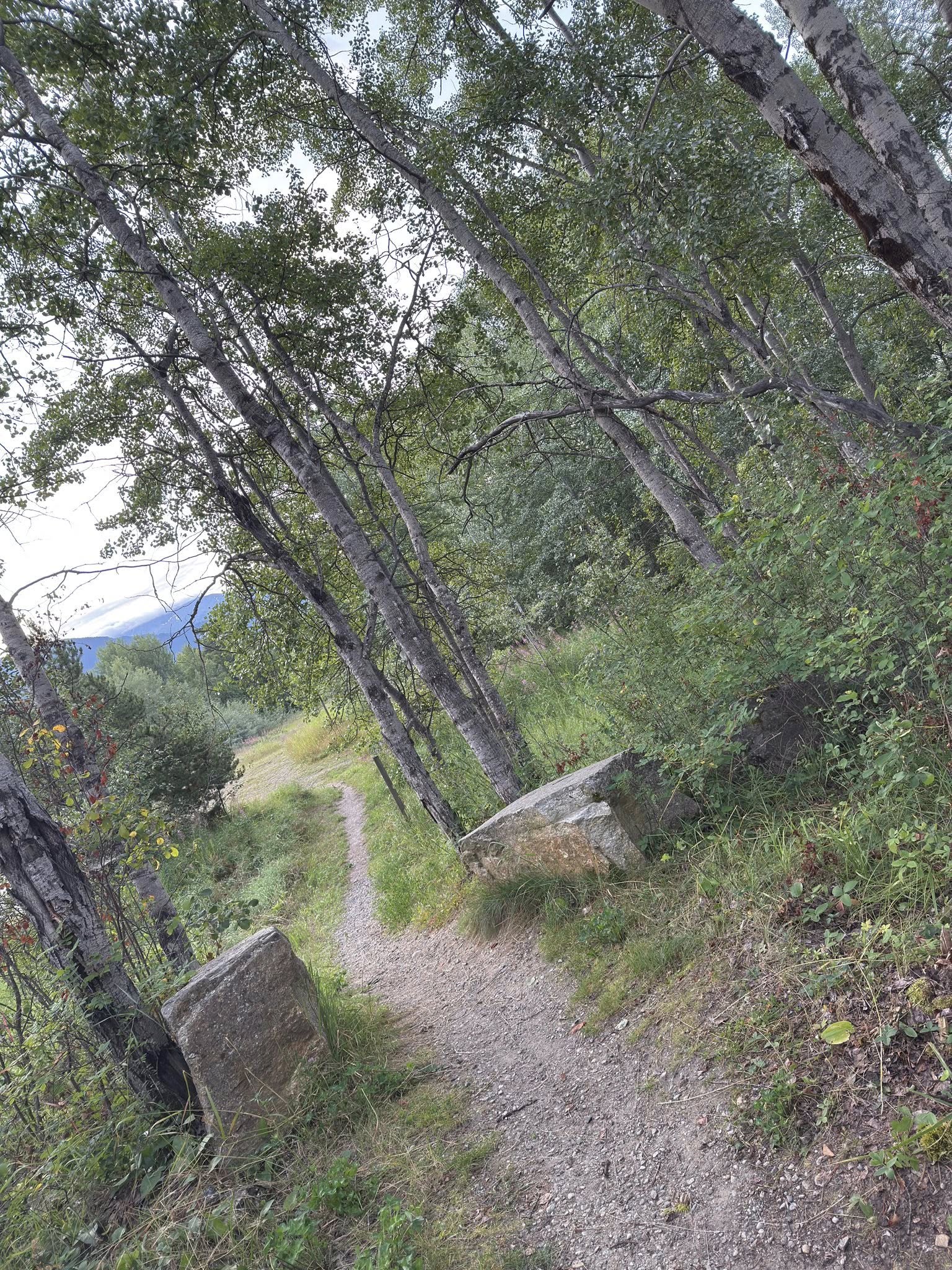 531426922_122225676668133510_7381626454225279905_n 531426922_122225676668133510_7381626454225279905_n