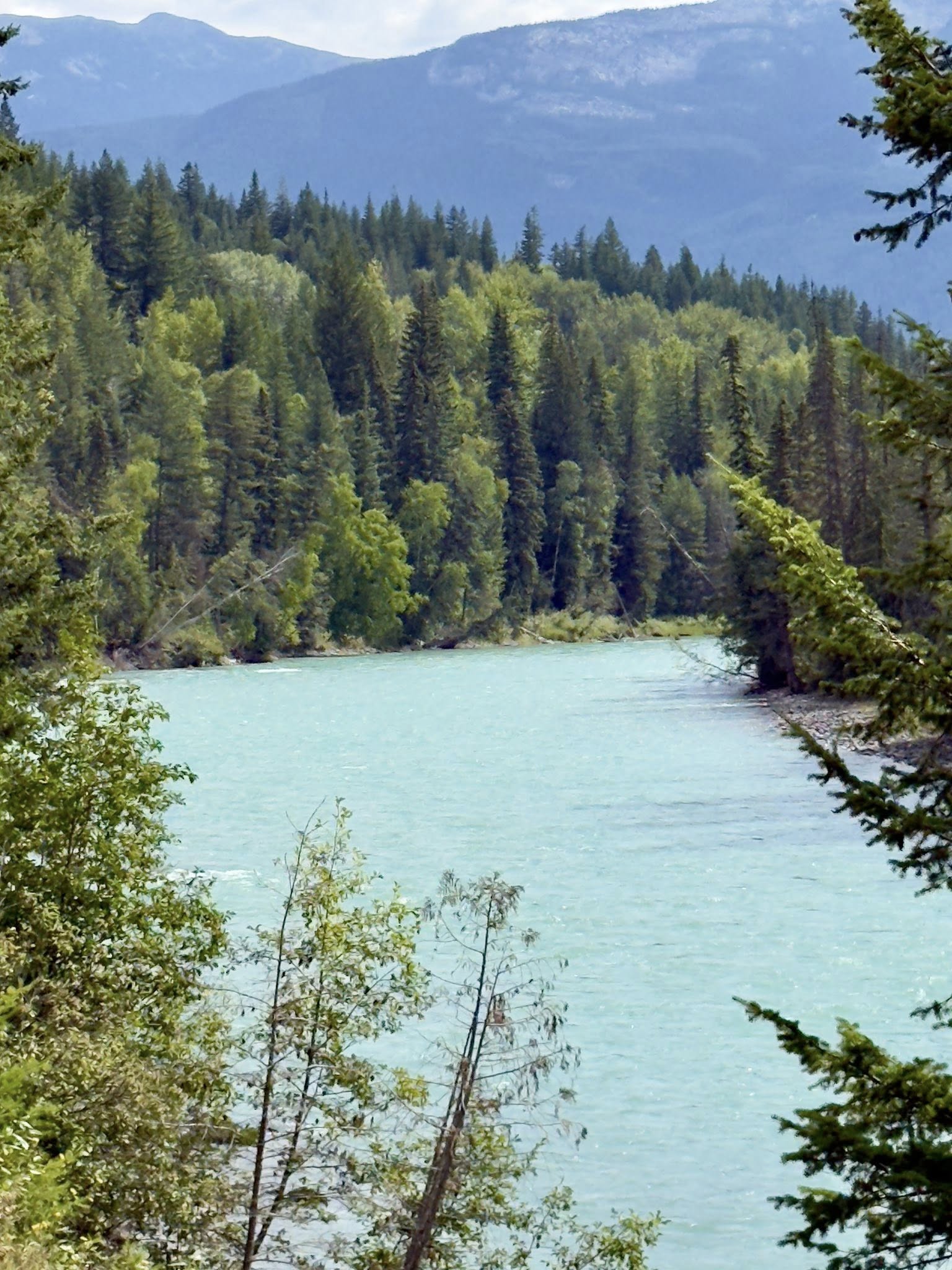 531460197_122225676656133510_315833530257394101_n 531460197_122225676656133510_315833530257394101_n