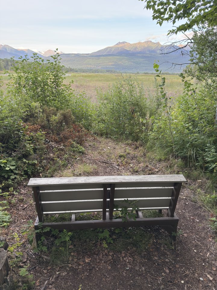 531699643_122225672534133510_622127956616606145_n 531699643_122225672534133510_622127956616606145_n