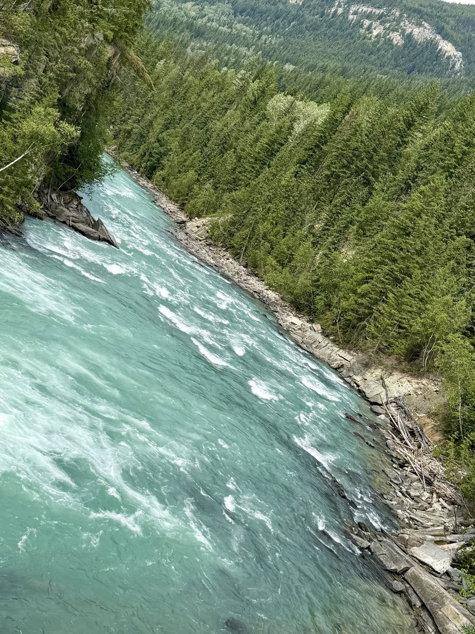 531783356_122225676620133510_5391024645162794639_n 531783356_122225676620133510_5391024645162794639_n