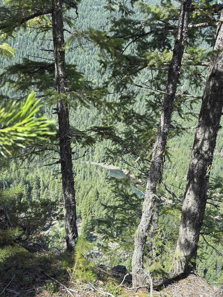 531795230_122225295764133510_2654619922442204925_n 531795230_122225295764133510_2654619922442204925_n